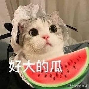 网红吃瓜被吊打,一场网络舆论的风暴