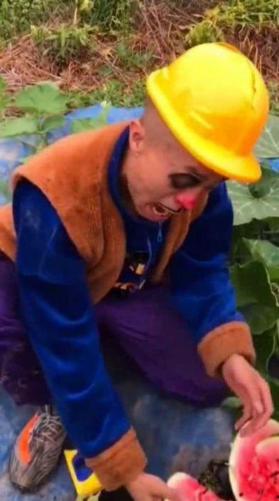 光头强在吃瓜,揭秘瓜农与伐木工的奇妙邂逅