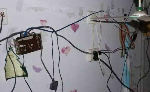 51吃瓜神器网线,网线背后的秘密与魅力