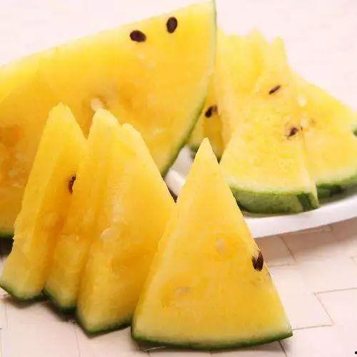 宝宝可以吃网格瓜,网格瓜营养美味，助力宝宝健康成长