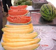 先看书再吃瓜,探索知识与娱乐的平衡之道