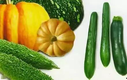 老猹吃嫩瓜,揭示生态平衡中的智慧法则