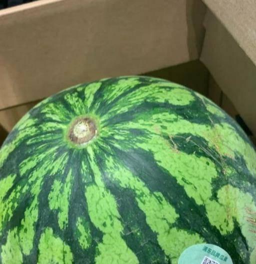 上海老板吃瓜,一场别开生面的职场风云