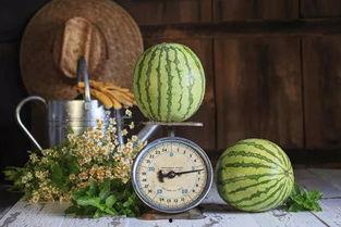 吃瓜留言,揭秘娱乐圈最新八卦事件