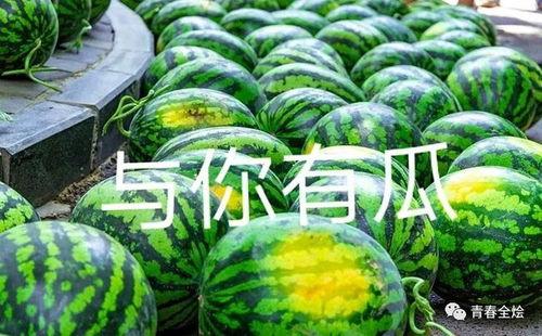 吃瓜最新大学,揭秘大学生活中的热点事件