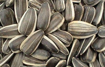 吃瓜葵花籽,葵花籽香飘四溢