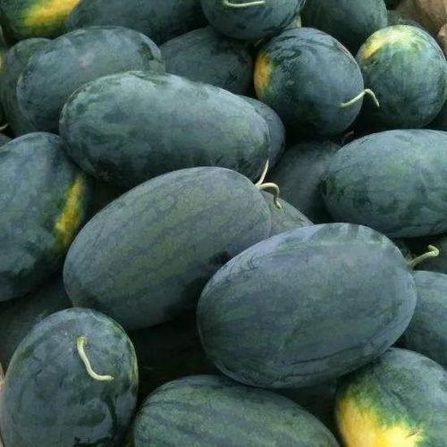 吃瓜来看瓜,吃瓜群众视角下的瓜界风云录