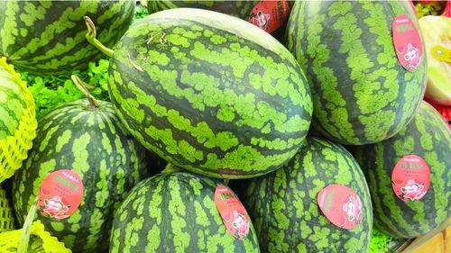 4k吃瓜,揭秘娱乐圈的幕后故事