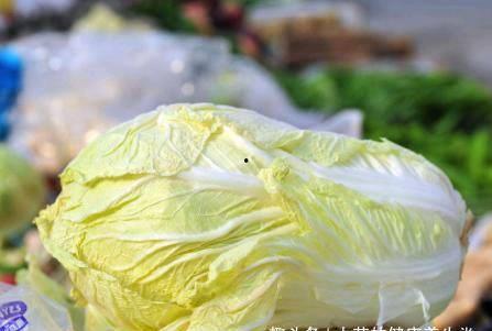 白瓜白菜怎么吃,家常美味新体验