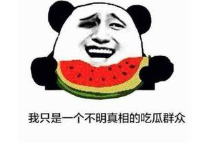 吃瓜捞是什么意思,网络流行语的趣味解读