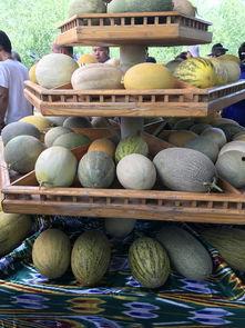 新疆瓜多少糖度可以吃,甜蜜滋味尽享