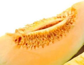 宁夏吃瓜蜜瓜,探寻宁夏特色瓜果的魅力