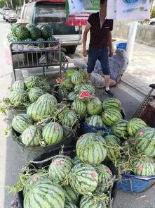 丰县西城吃瓜事件,真相与争议的漩涡