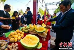 偃师最新吃瓜新闻